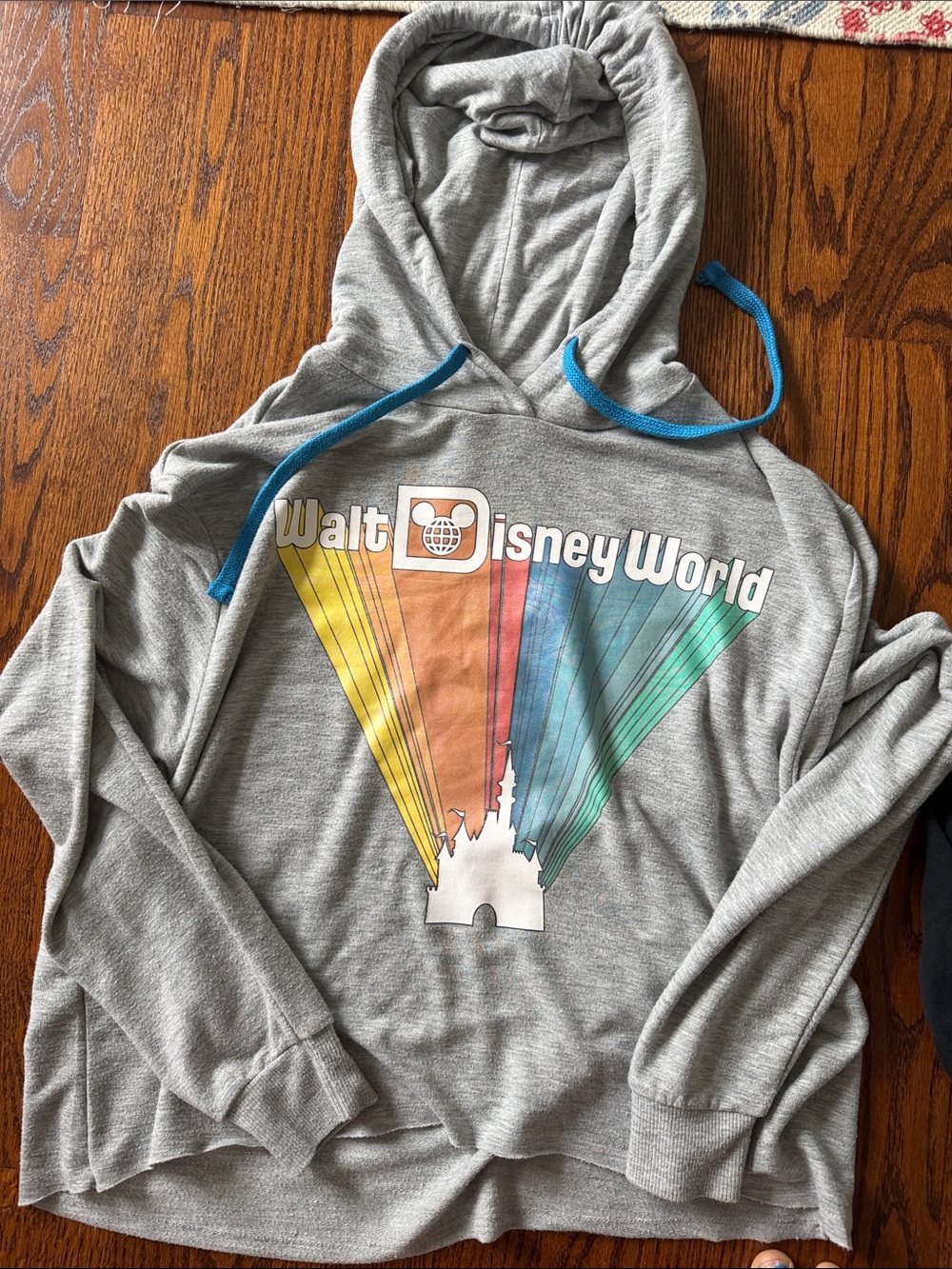 Walt Disney World Retro Gray, lightweight cropped hoodie